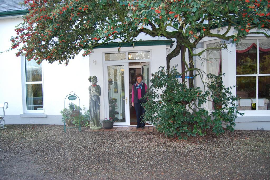 Grange Lodge Country House Дънганън Екстериор снимка